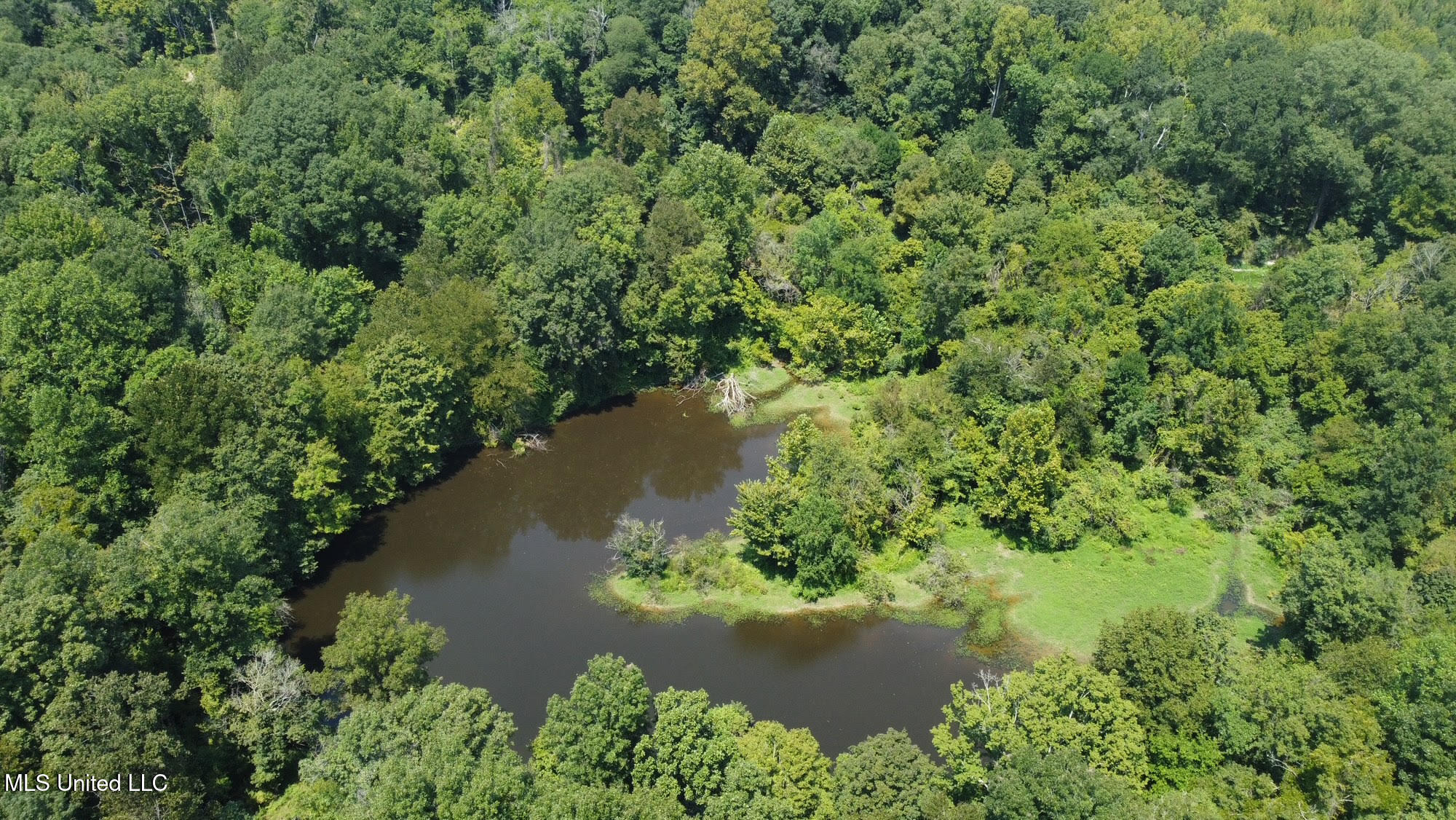 2 Champion Hill Road Bolton, MS 39041 - Photo 23 of 52 51