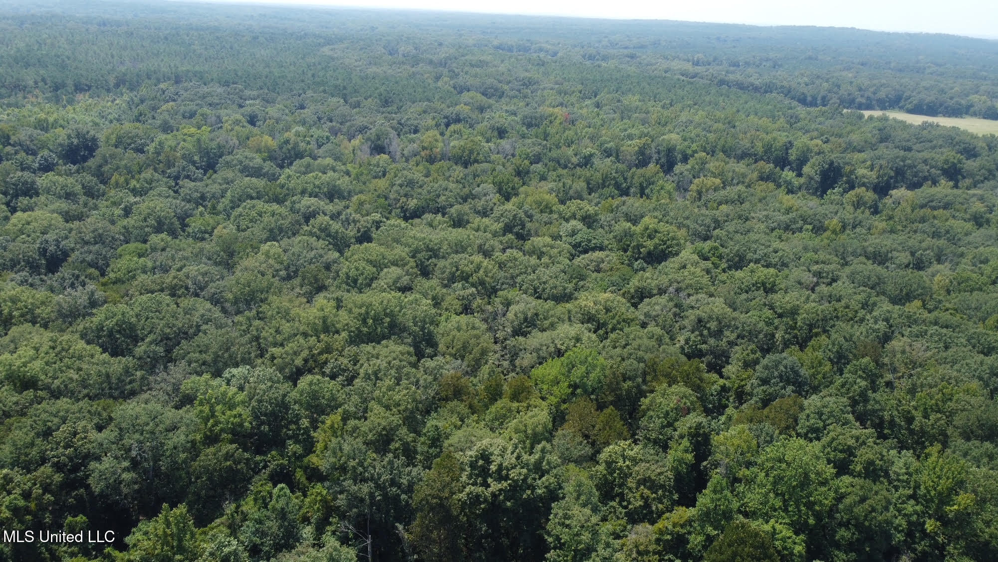 2 Champion Hill Road Bolton, MS 39041 - Photo 28 of 52 56