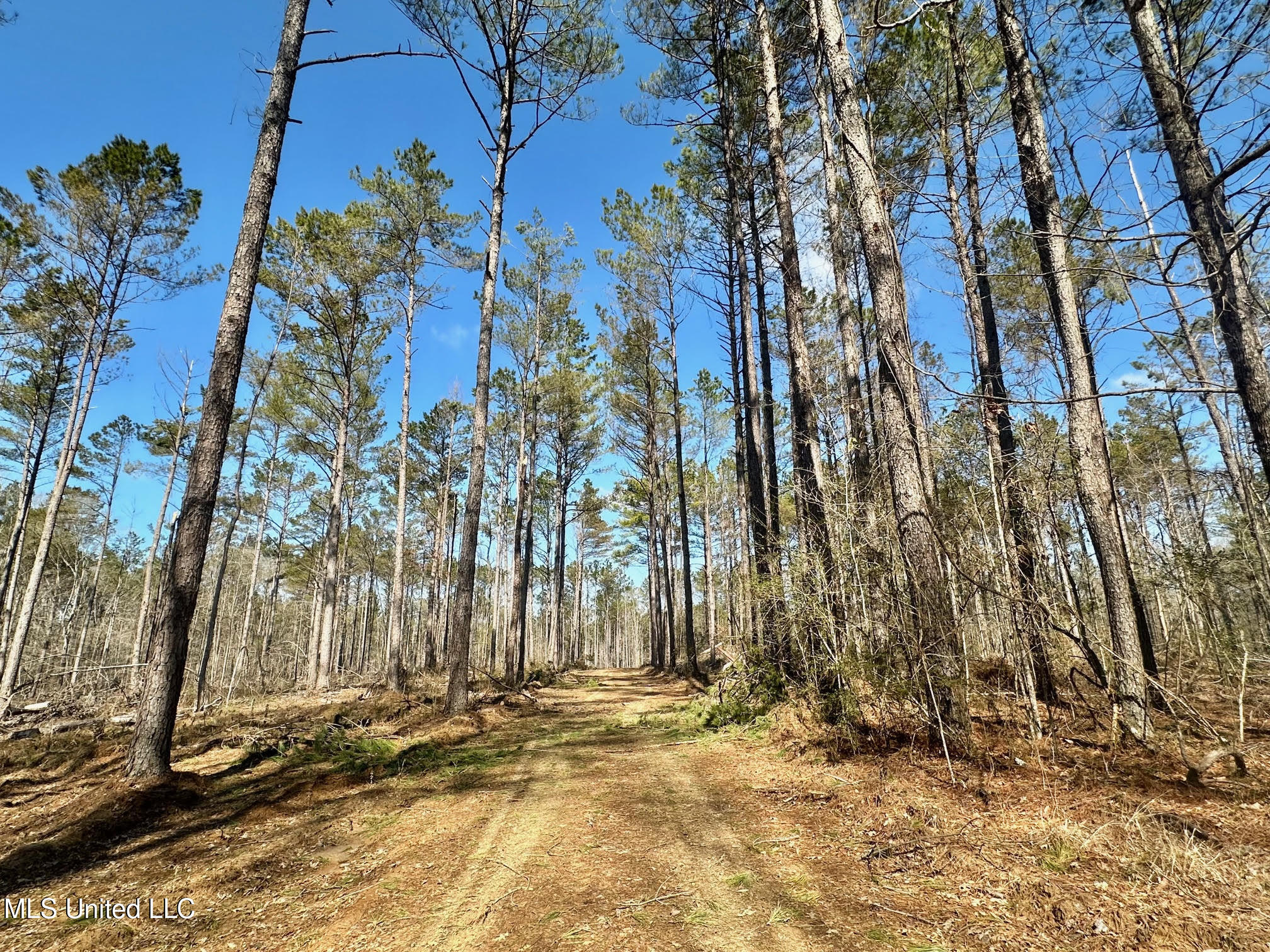 2 Champion Hill Road Bolton, MS 39041 - Photo 3 of 33 228