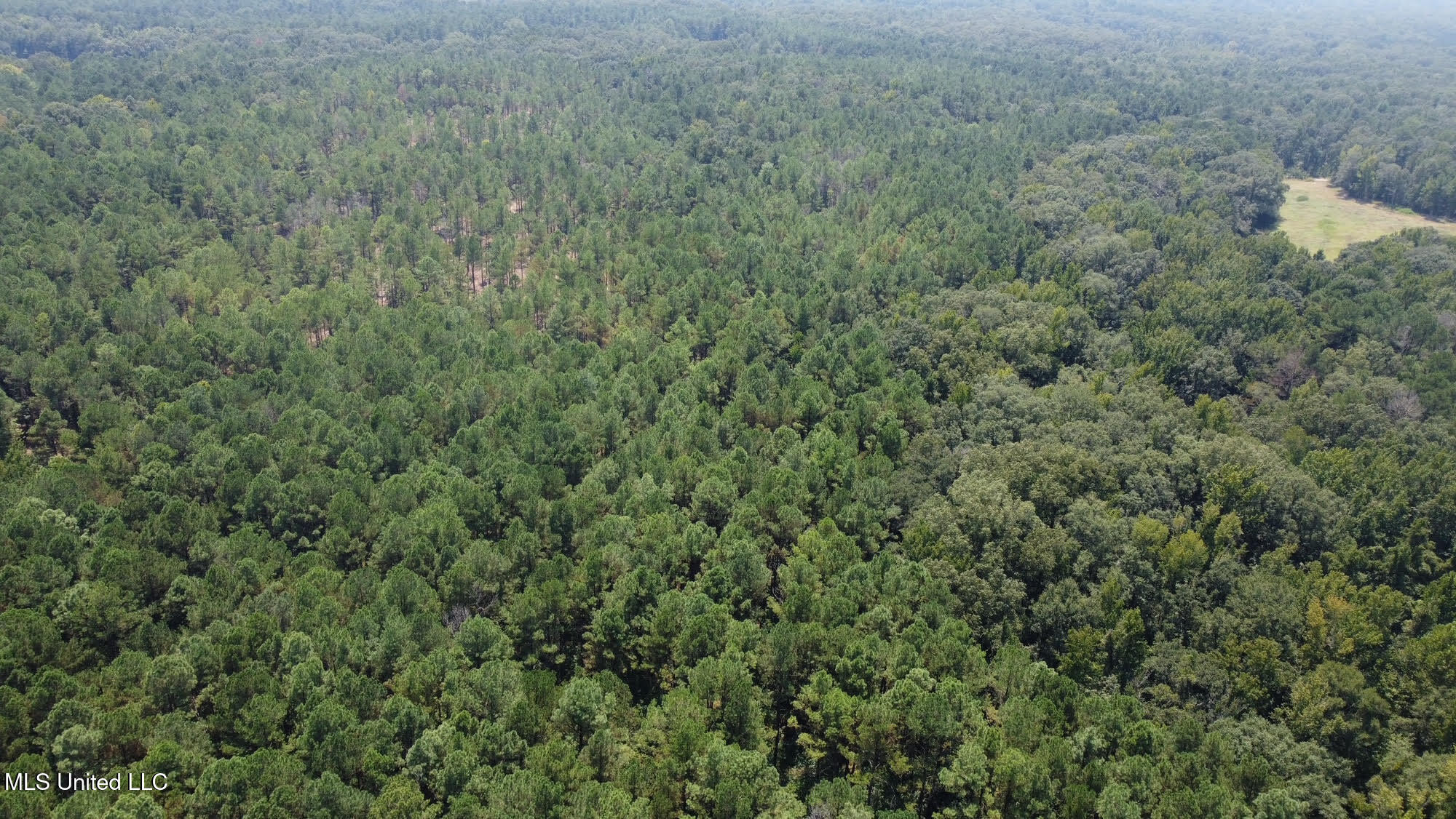 2 Champion Hill Road Bolton, MS 39041 - Photo 31 of 52 59