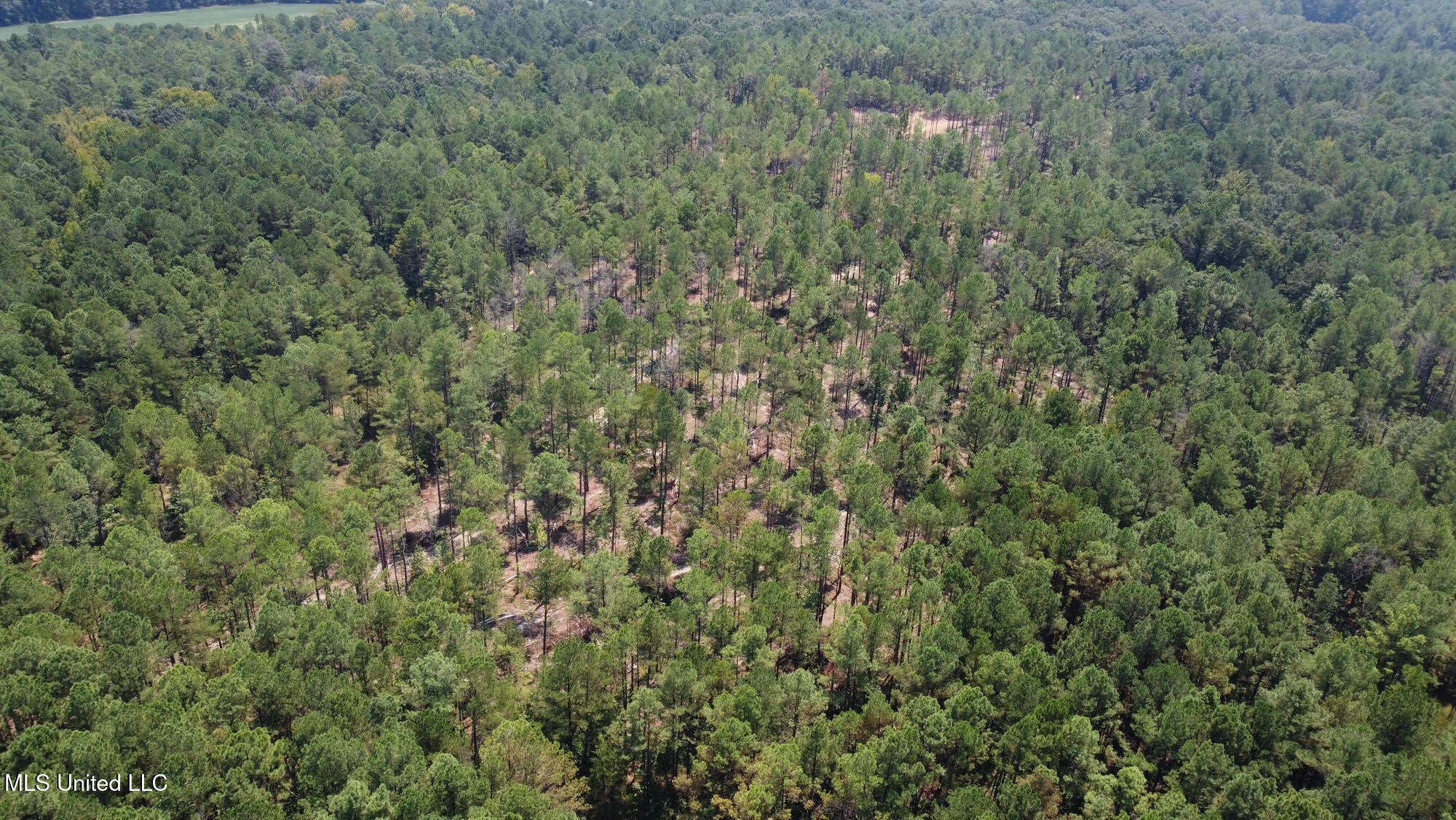 2 Champion Hill Road Bolton, MS 39041 - Photo 32 of 52 60