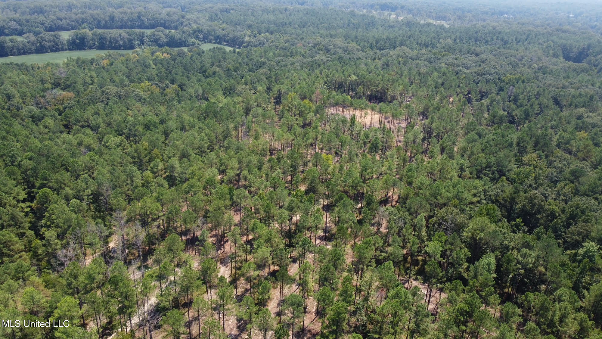2 Champion Hill Road Bolton, MS 39041 - Photo 33 of 52 61