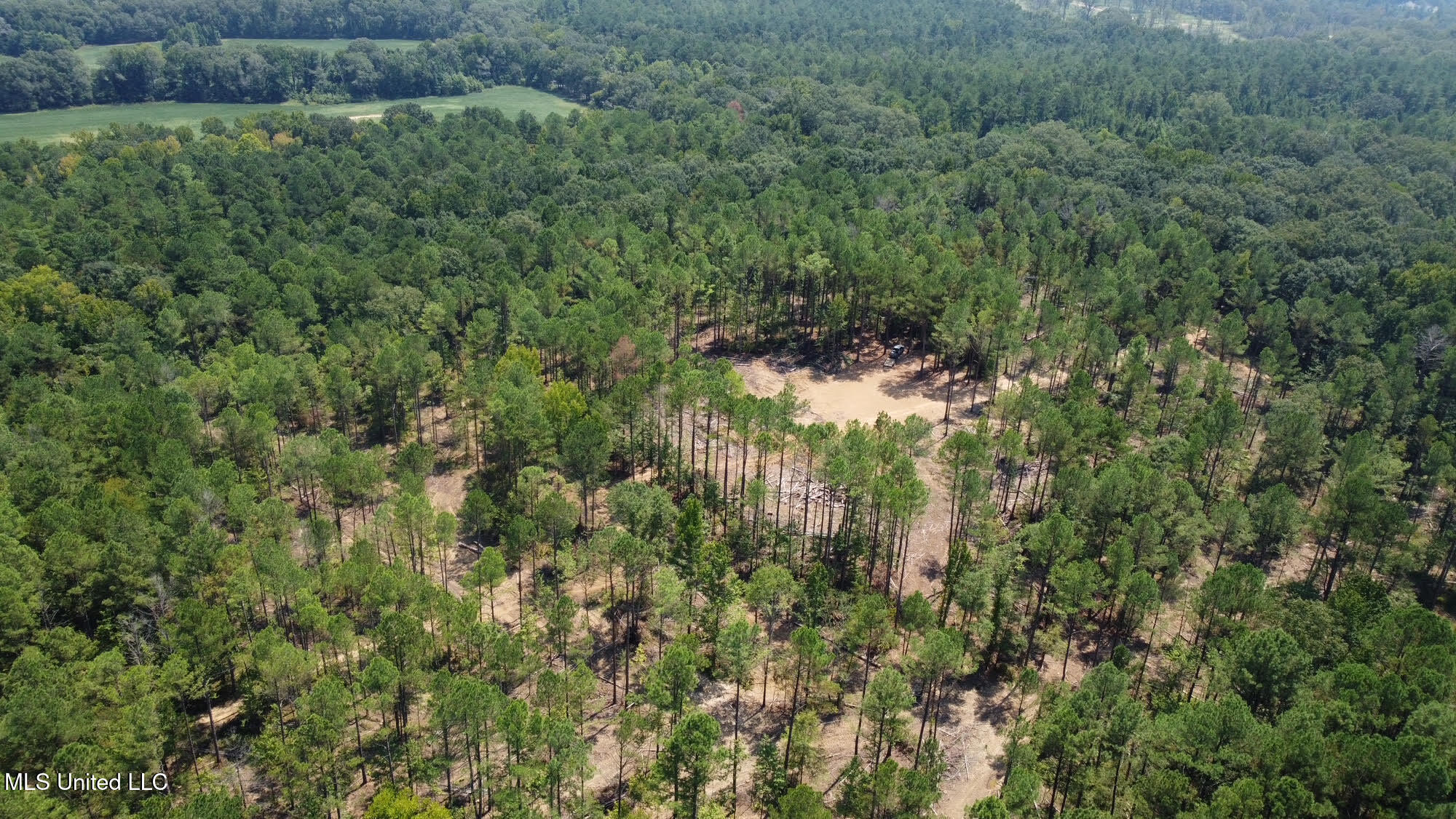 2 Champion Hill Road Bolton, MS 39041 - Photo 34 of 52 62