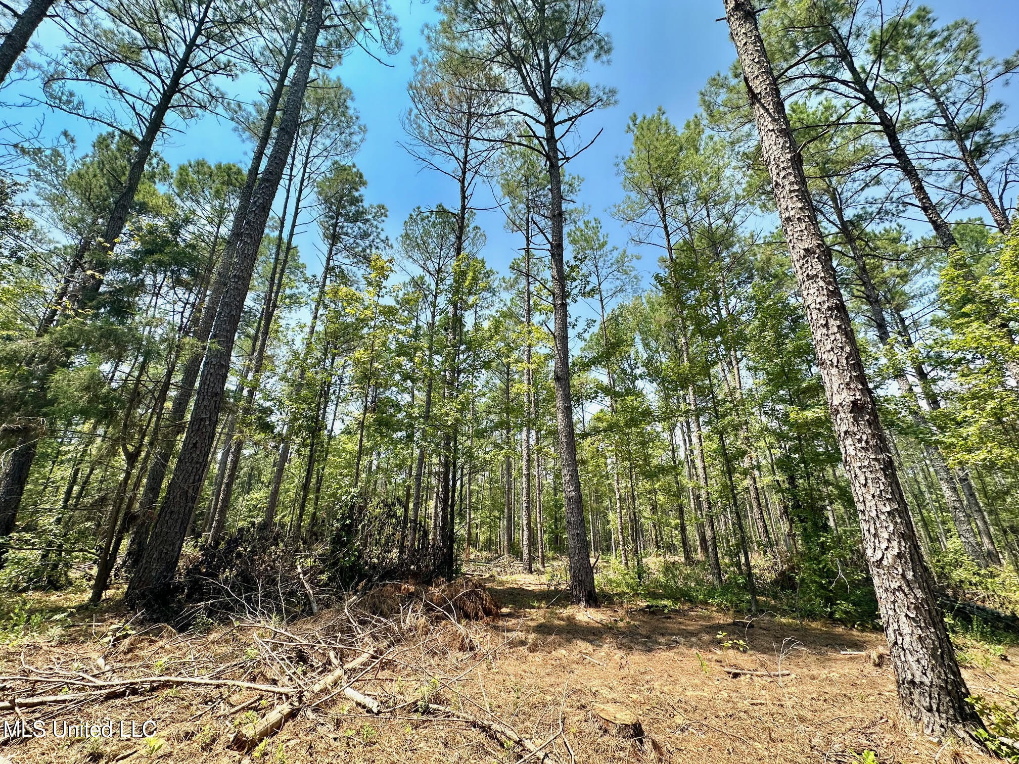 2 Champion Hill Road Bolton, MS 39041 - Photo 36 of 52 64