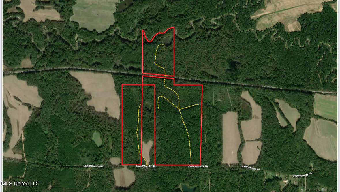 2 Champion Hill Road Bolton, MS 39041 - Photo 37 of 52 71