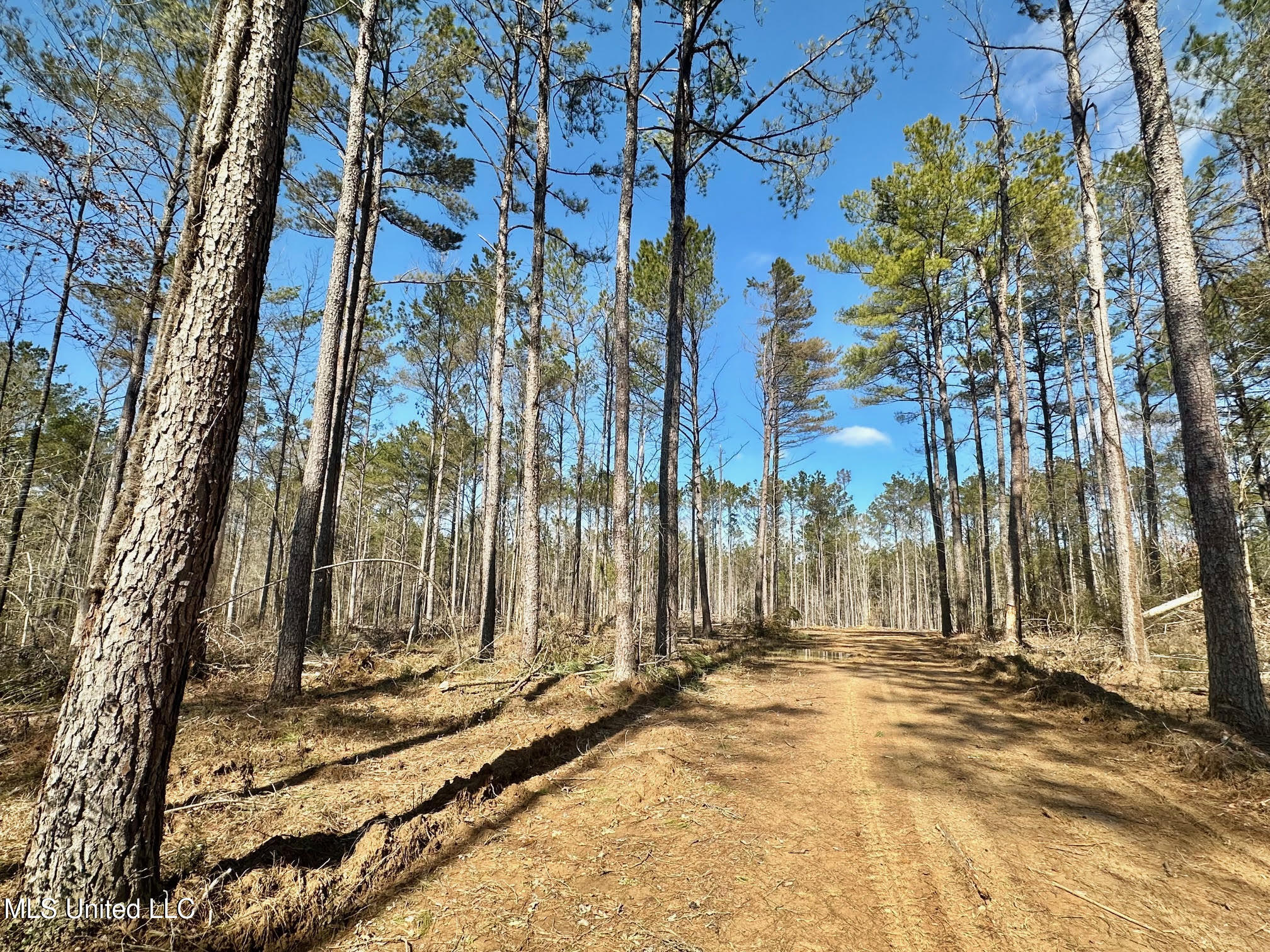 2 Champion Hill Road Bolton, MS 39041 - Photo 4 of 33 229