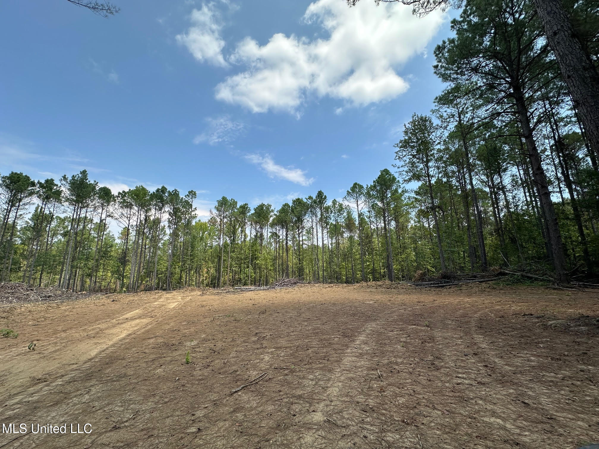 2 Champion Hill Road Bolton, MS 39041 - Photo 4 of 52 31