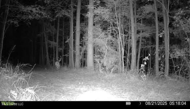 2 Champion Hill Road Bolton, MS 39041 - Photo 45 of 52 105