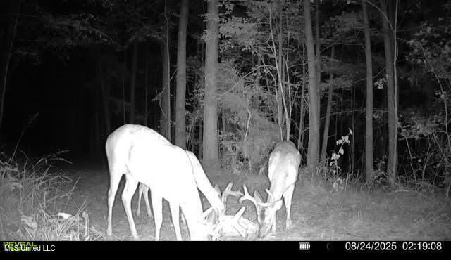 2 Champion Hill Road Bolton, MS 39041 - Photo 46 of 52 106