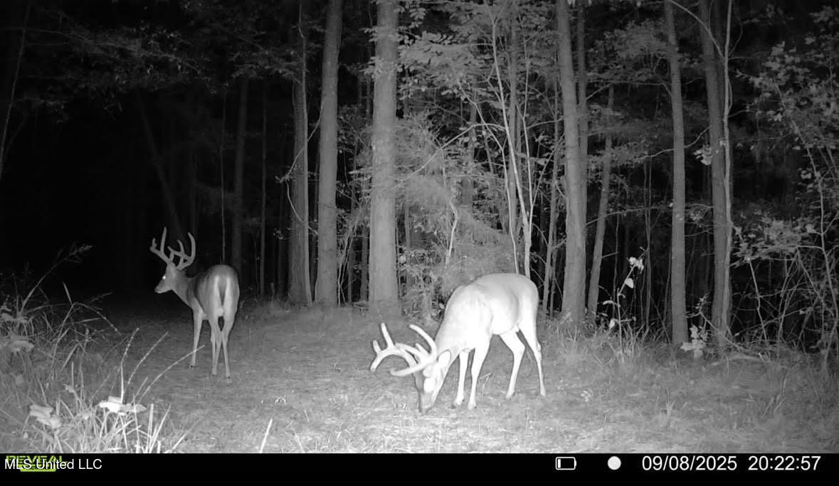 2 Champion Hill Road Bolton, MS 39041 - Photo 48 of 52 201