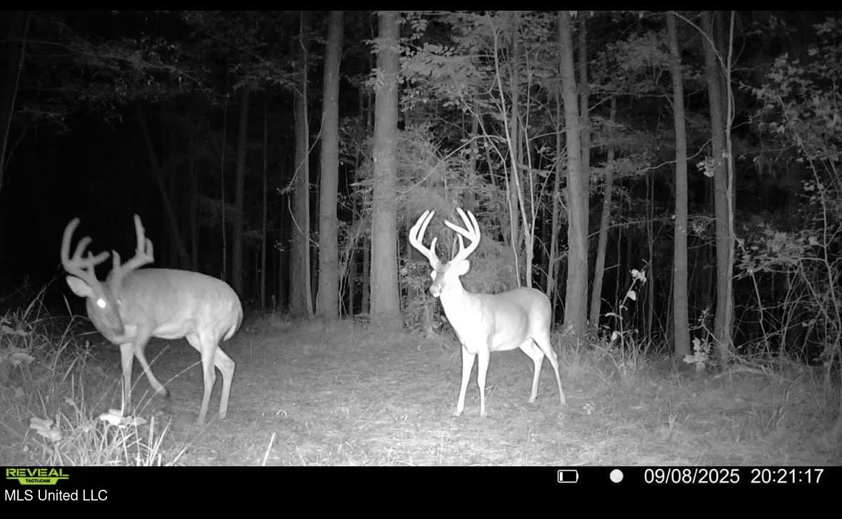 2 Champion Hill Road Bolton, MS 39041 - Photo 49 of 52 202