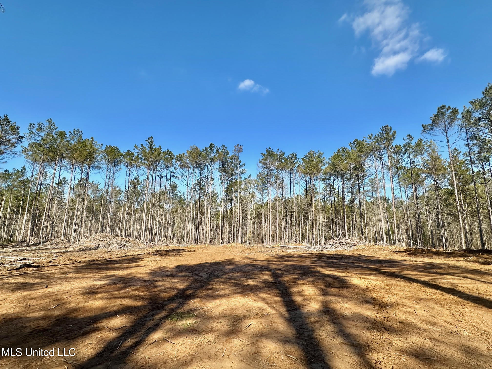 2 Champion Hill Road Bolton, MS 39041 - Photo 5 of 33 230