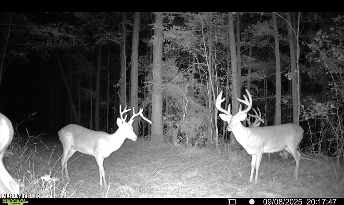 2 Champion Hill Road Bolton, MS 39041 - Photo 52 of 52 205