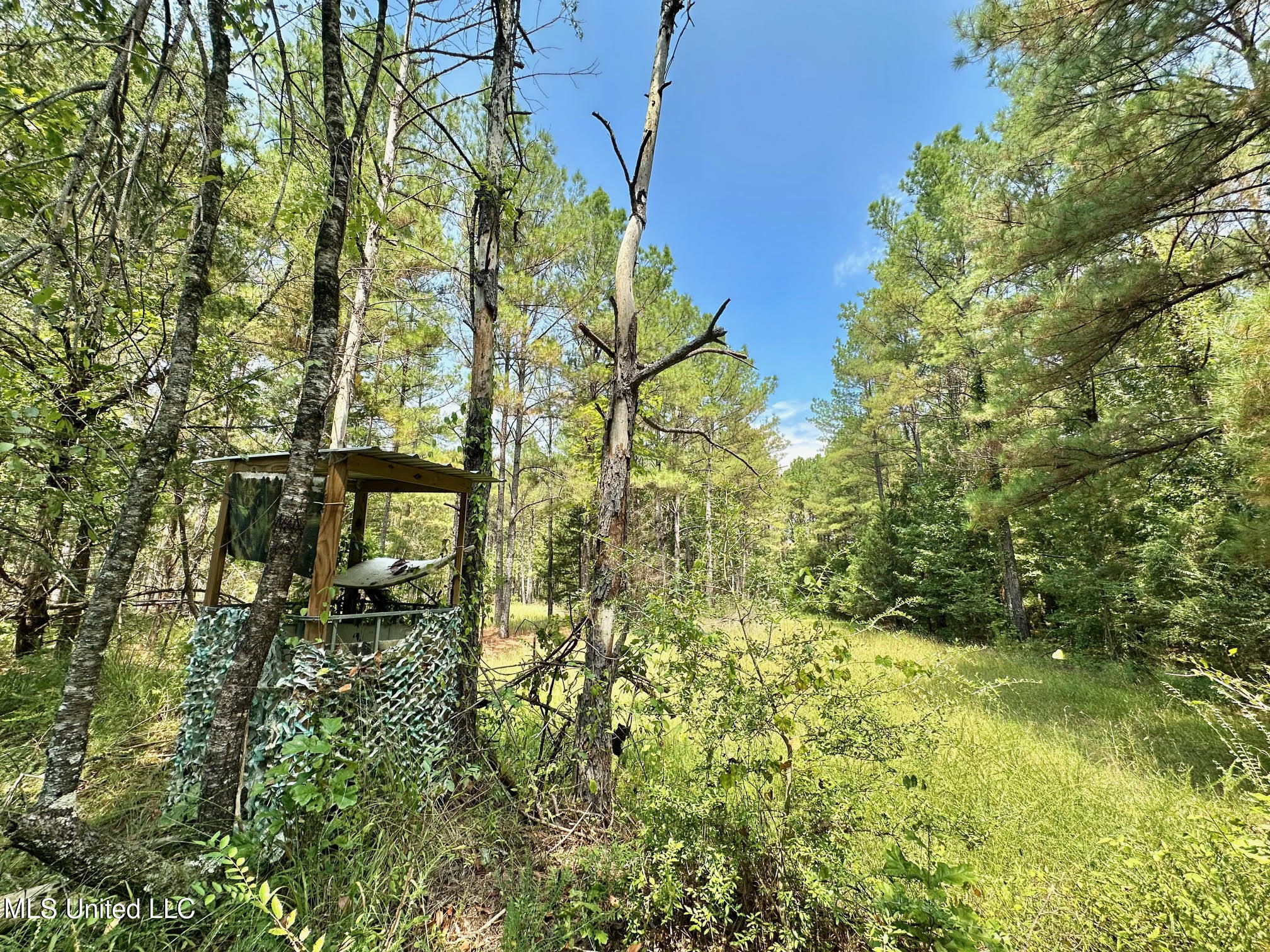 2 Champion Hill Road Bolton, MS 39041 - Photo 6 of 52 33