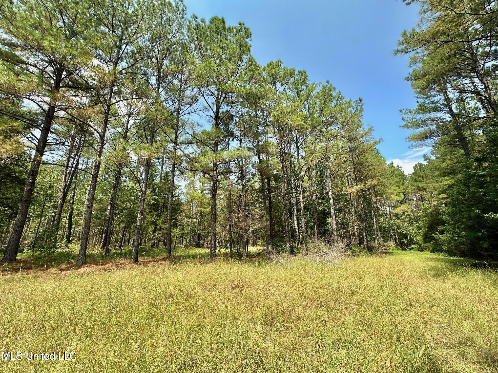 2 Champion Hill Road Bolton, MS 39041 - Photo 7 of 52 34