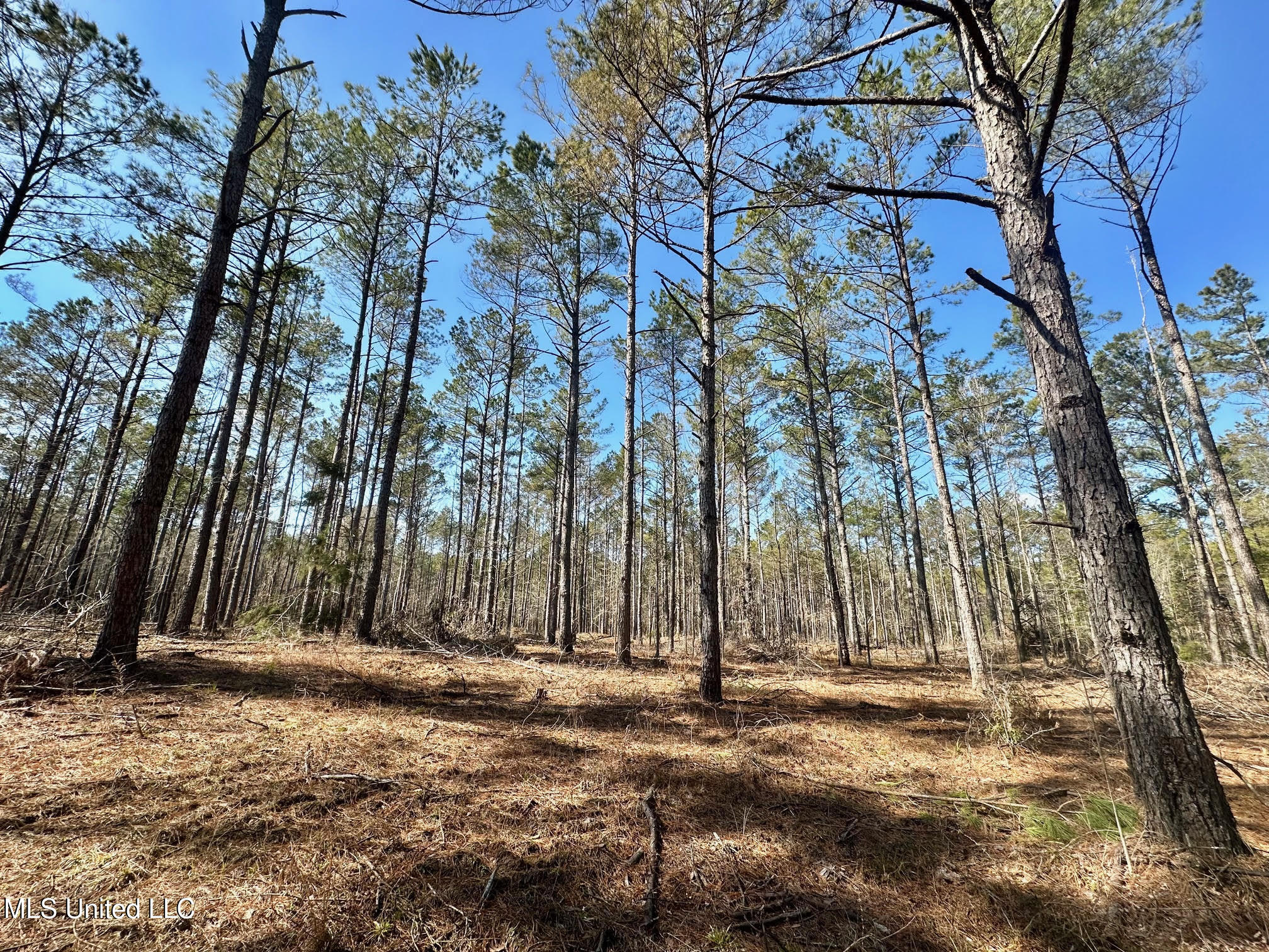 2 Champion Hill Road Bolton, MS 39041 - Photo 7 of 33 232