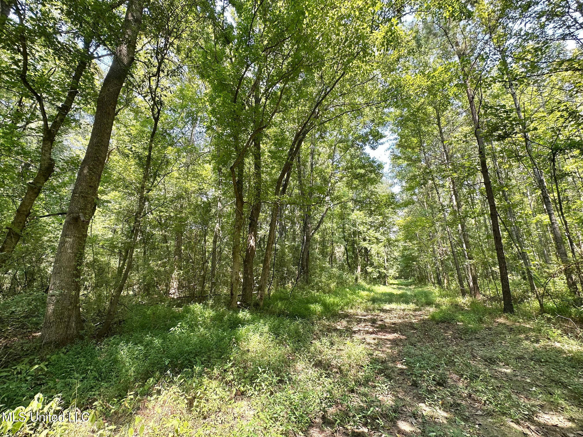 2 Champion Hill Road Bolton, MS 39041 - Photo 8 of 52 35