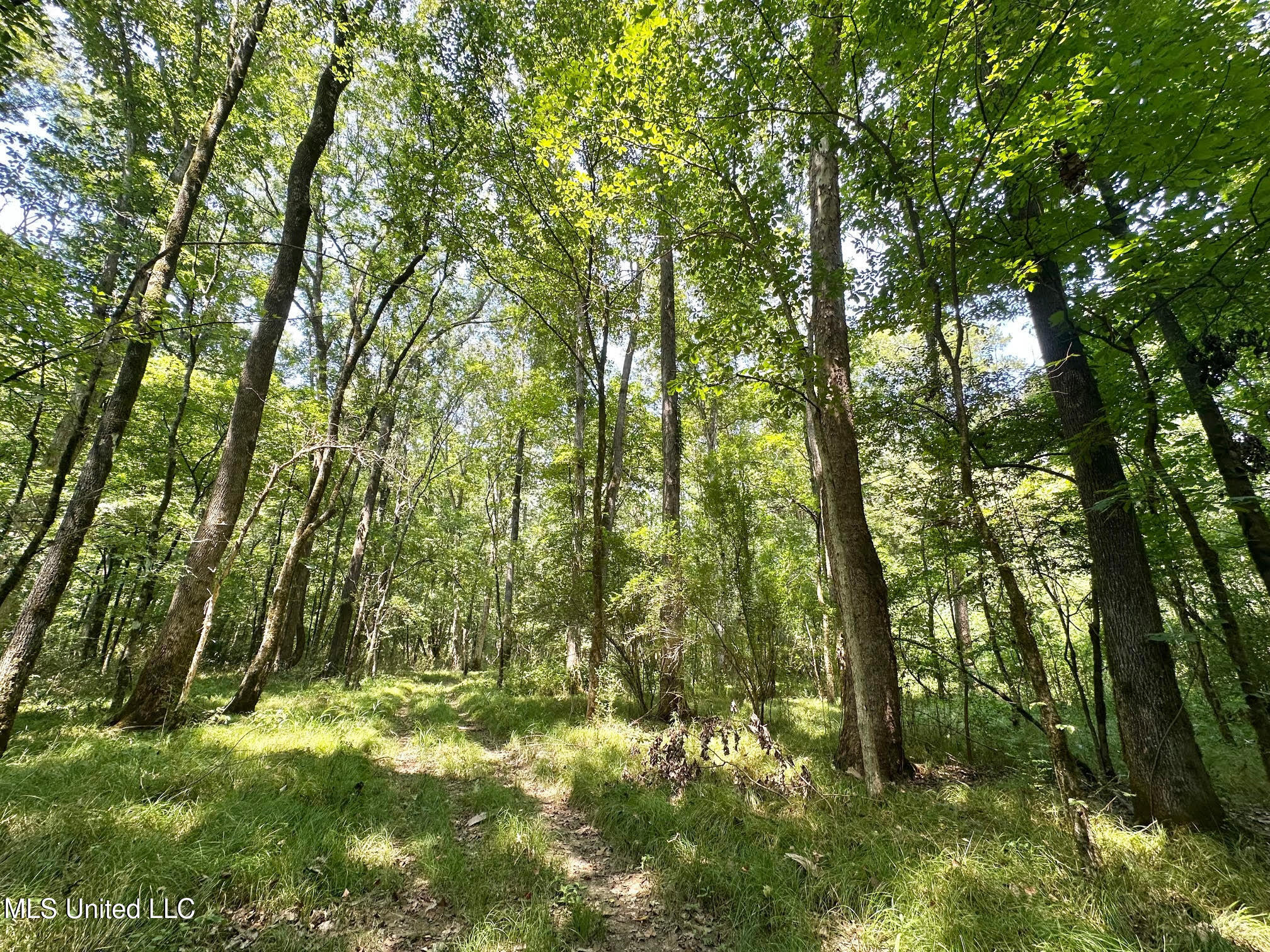 2 Champion Hill Road Bolton, MS 39041 - Photo 10 of 52 37