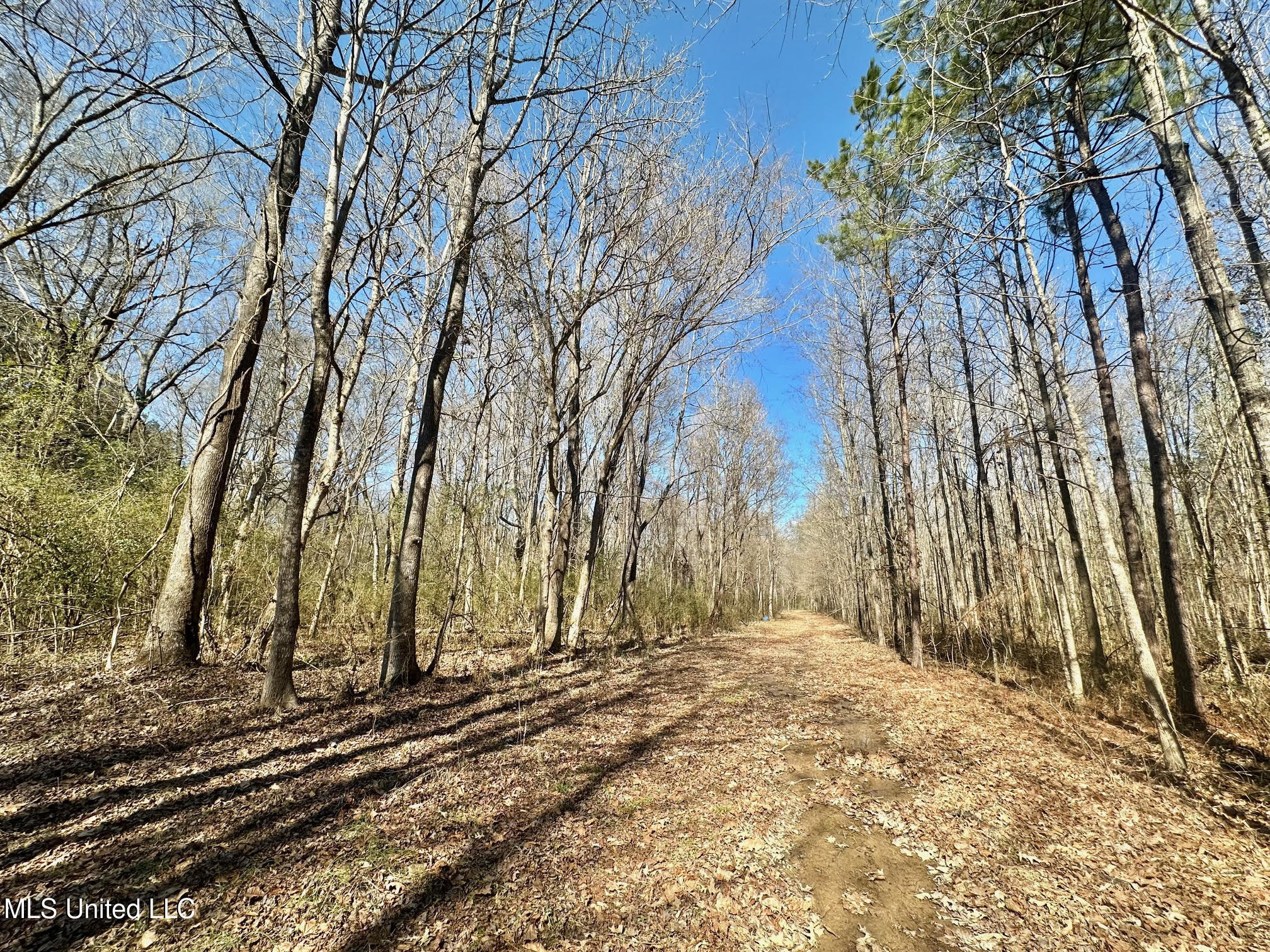 2 Champion Hill Road Bolton, MS 39041 - Photo 10 of 33 235