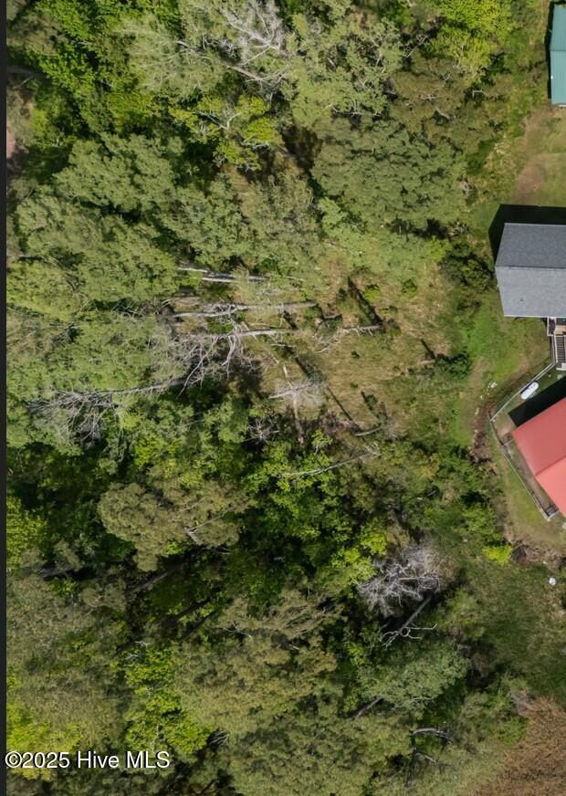 0 River Road Arapahoe, NC 28510 - Photo 7 of 10 Backside