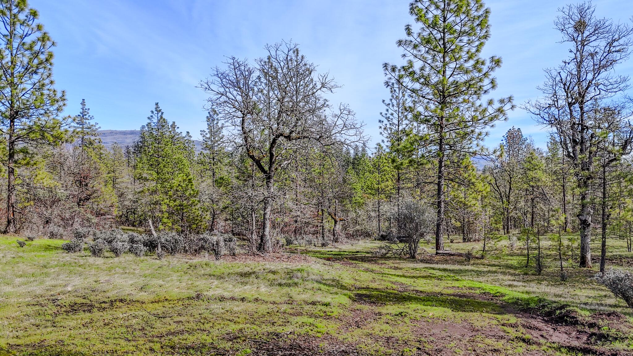 506 Greenleaf Drive Eagle Point, OR 97524 - Photo 32 of 38 DJI_20260227141434_0580_D-HDR