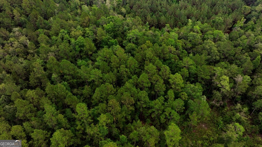 0 Highway 204 & Carlos Cowart Road Pembroke, GA 31321 - Photo 17 of 47
