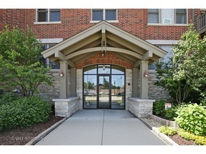 271 East Railroad Avenue, Unit 302 Bartlett, IL 60103 - Photo 2 of 21 a front view of a house with a yard