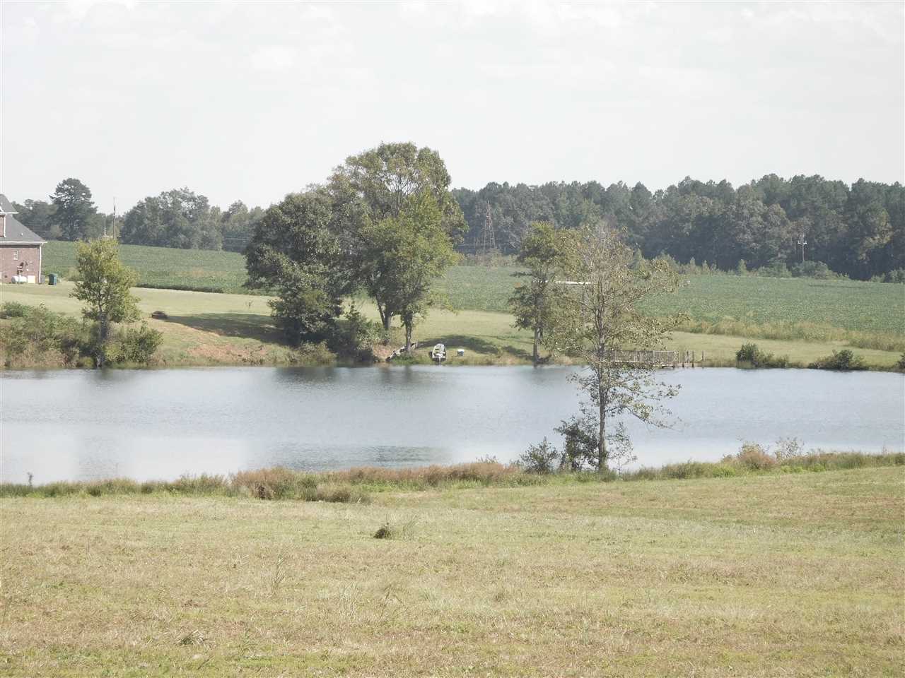810 Love Springs Road Cowpens, SC 29330 - Photo 4 of 4