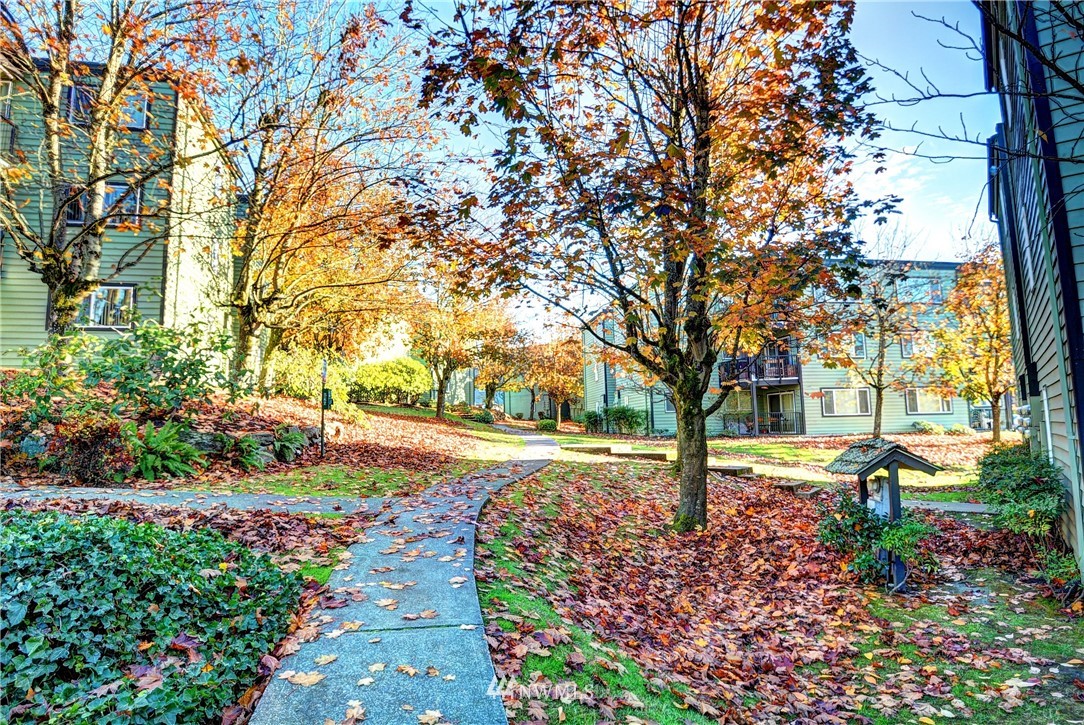 13009 East Gibson Road, Unit Q230 Everett, WA 98204 - Photo 18 of 18 Gallery Image 18
