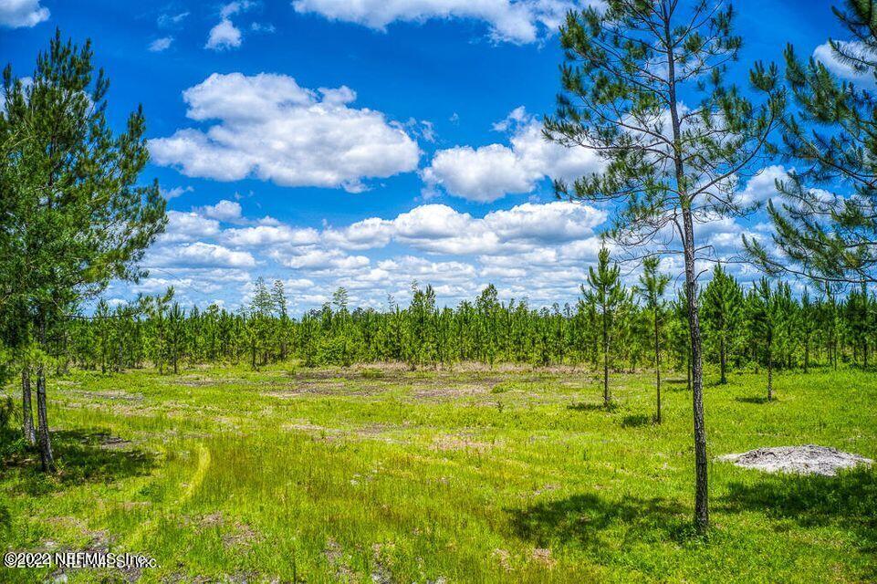15550 Co Road Hilliard, FL 32046 - Photo 1 of 11 Hill Farms