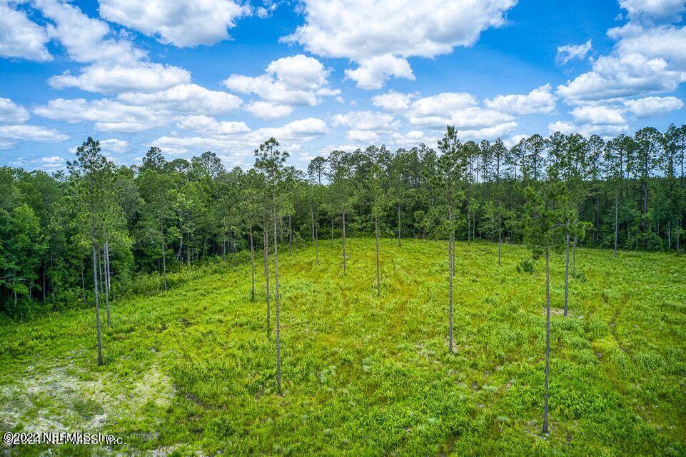 15550 Co Road Hilliard, FL 32046 - Photo 6 of 11 Hill Farms