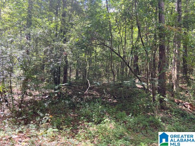 0 County Road 89, Unit 1 Clanton, AL 35046 - Photo 12 of 17