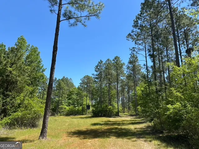 a view of outdoor space and trees