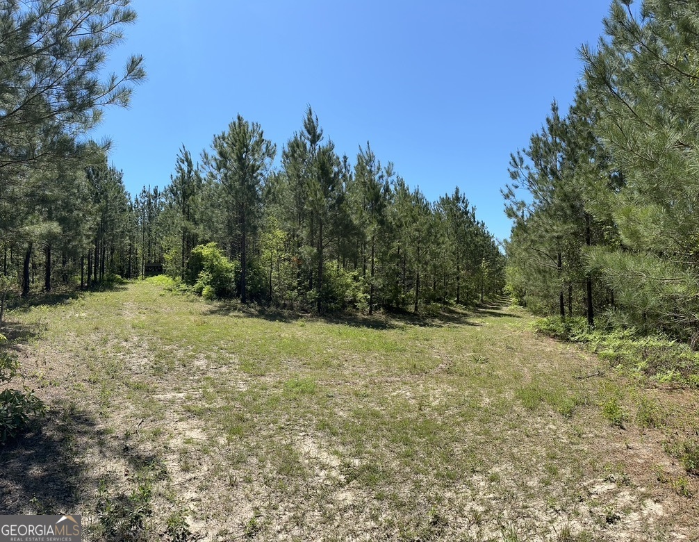 0 Jim Pruett Road Eastman, GA 31023 - Photo 12 of 78 a view of a yard with a tree