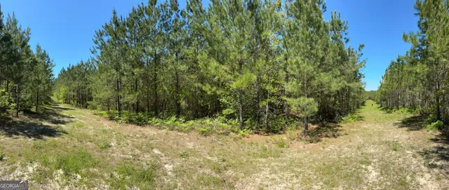 a view of a yard with a tree
