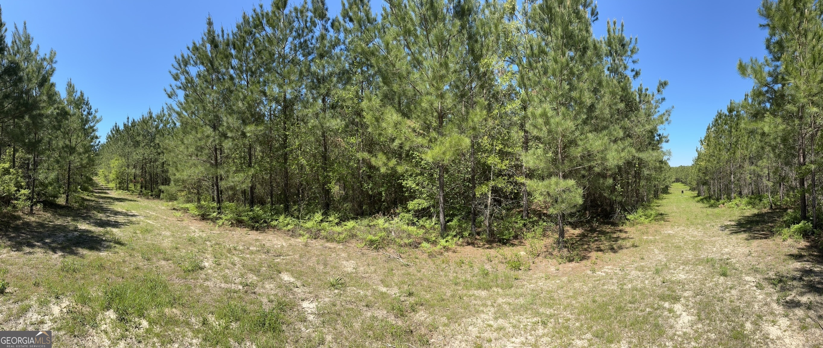 0 Jim Pruett Road Eastman, GA 31023 - Photo 13 of 78 a view of a yard with a tree