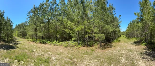 a view of outdoor space and garden