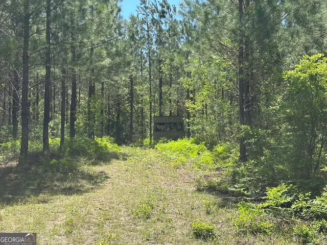 a view of a yard with lots of trees