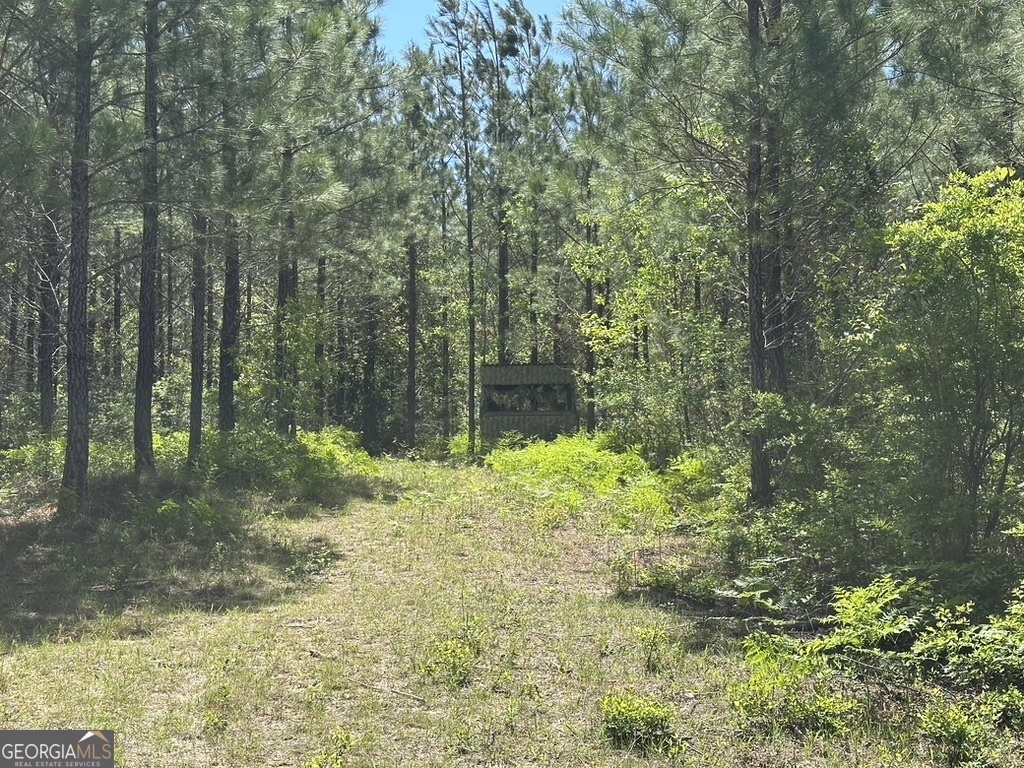 0 Jim Pruett Road Eastman, GA 31023 - Photo 15 of 78 a backyard of a house with lots of green space and outdoor seating