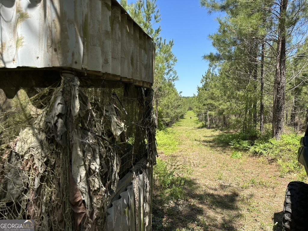 0 Jim Pruett Road Eastman, GA 31023 - Photo 17 of 78