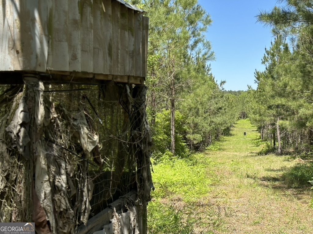 0 Jim Pruett Road Eastman, GA 31023 - Photo 18 of 78 a view of swimming pool from a yard