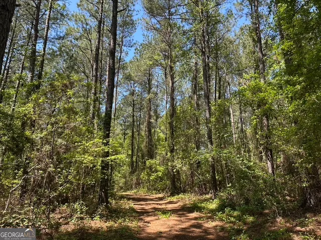 a big yard with lots of green space and trees