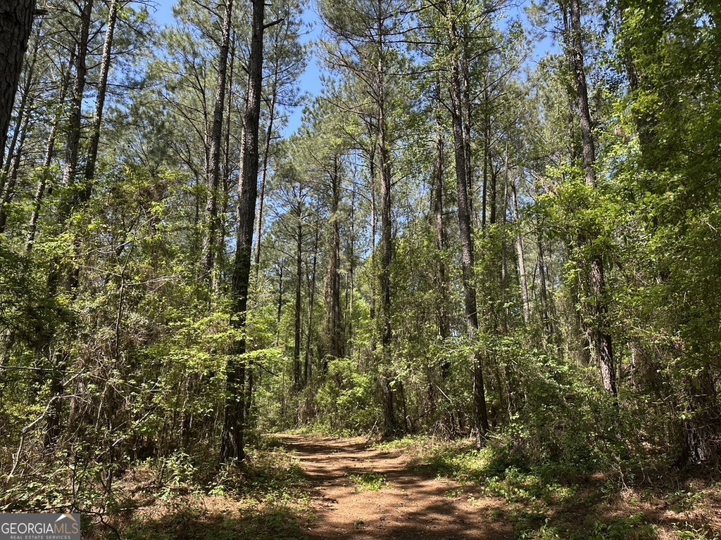 0 Jim Pruett Road Eastman, GA 31023 - Photo 19 of 78