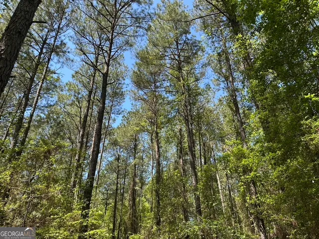 a view of an outdoor space and a yard