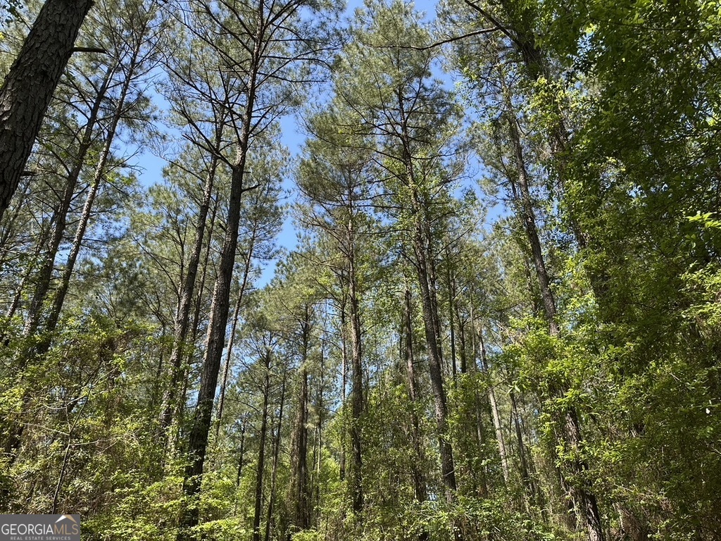 0 Jim Pruett Road Eastman, GA 31023 - Photo 21 of 78