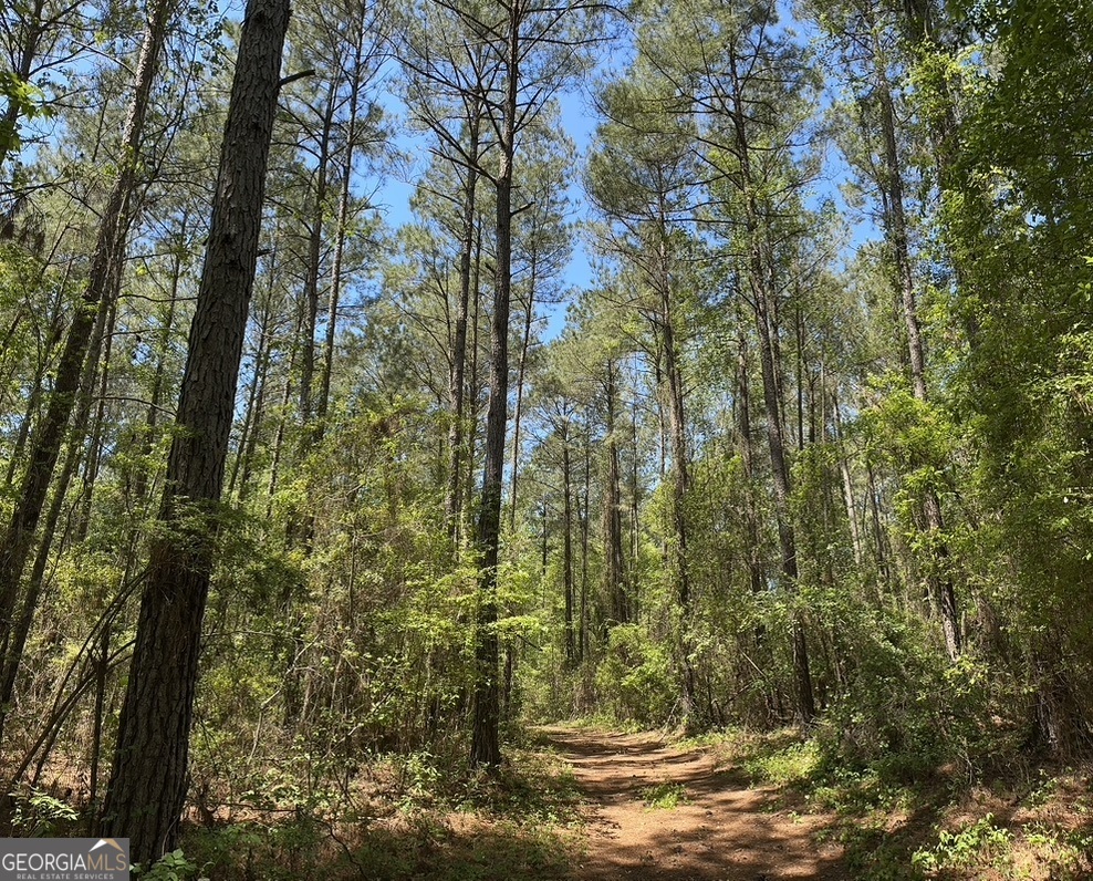 0 Jim Pruett Road Eastman, GA 31023 - Photo 22 of 78