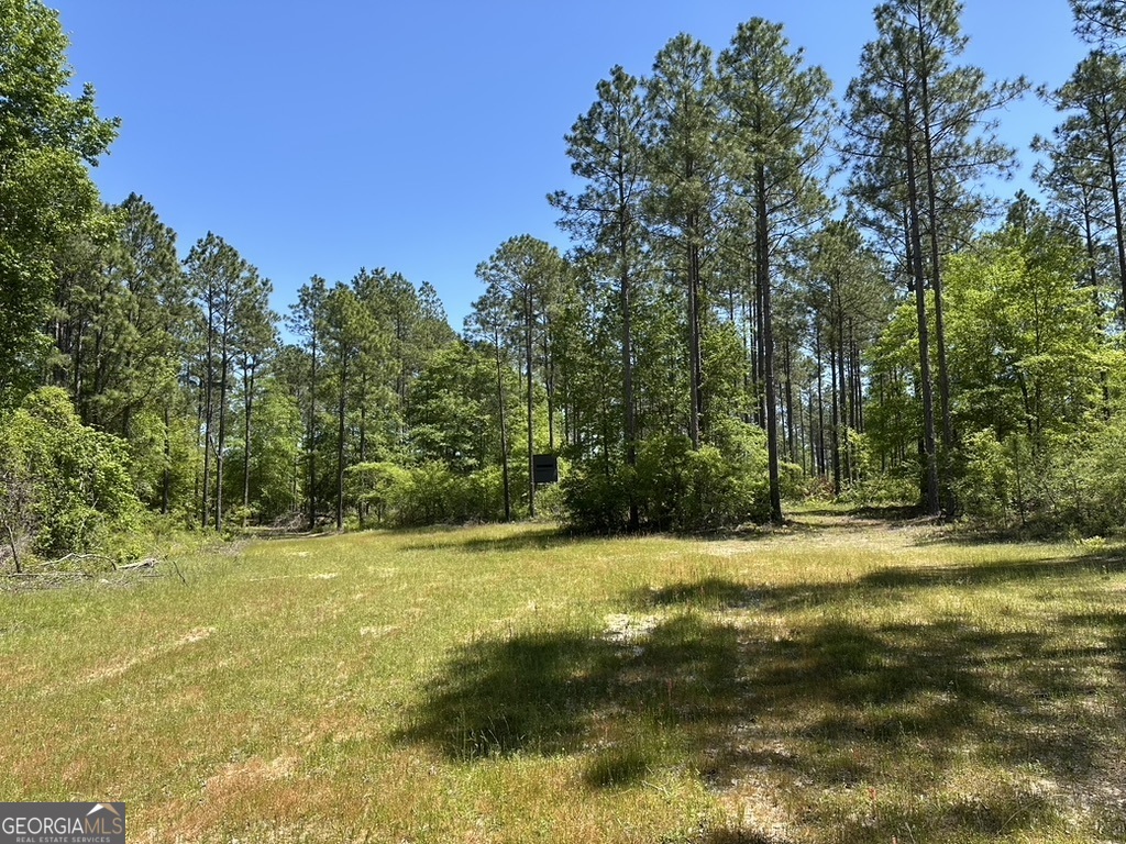 0 Jim Pruett Road Eastman, GA 31023 - Photo 23 of 78 a view of a yard with a house in the background