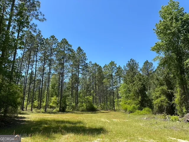 a view of a yard with an trees