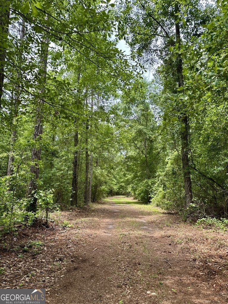 0 Jim Pruett Road Eastman, GA 31023 - Photo 25 of 78 a view of a yard with a tree
