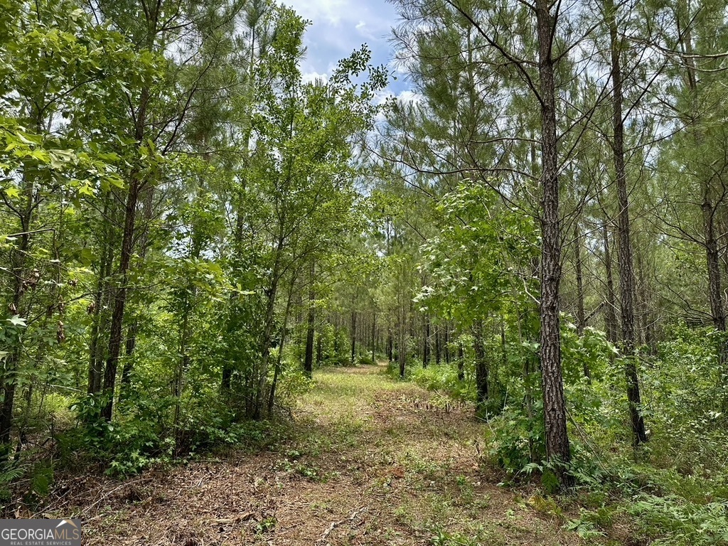 0 Jim Pruett Road Eastman, GA 31023 - Photo 29 of 78